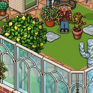 Habbo-Pixelwelt: Grüne Oase